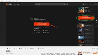 网页看视频的插件,轻松捕捉网络精彩瞬间