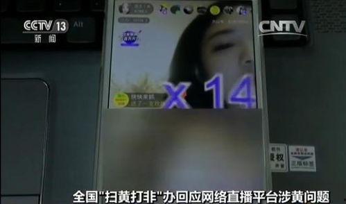 涉黄直播视频,一场视觉与道德的较量