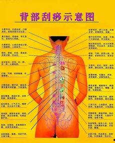 肝经刮痧视频,疏通经络，养生保健的神奇疗法