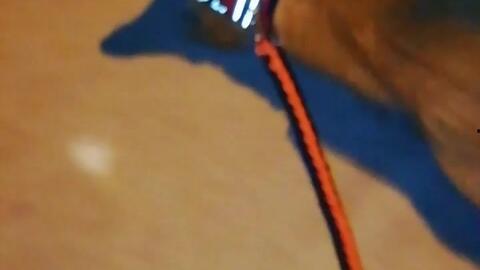 姣喘视频,揭秘女性健身新潮流